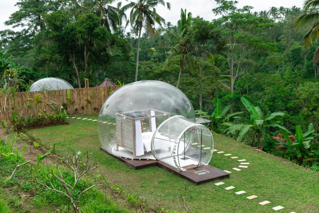 Romantic Bubble Dome Hotel Payangan Стая снимка